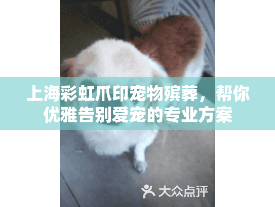上海彩虹爪印宠物殡葬，帮你优雅告别爱宠的专业方案