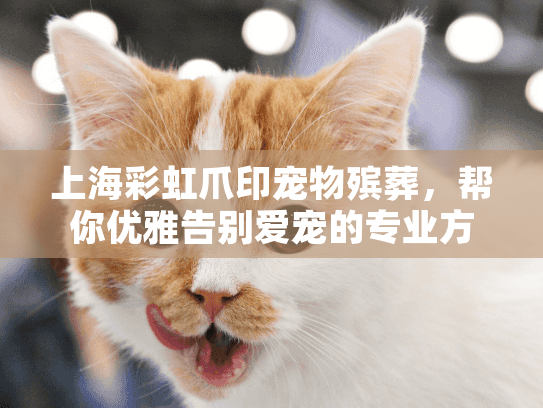 上海彩虹爪印宠物殡葬，帮你优雅告别爱宠的专业方案