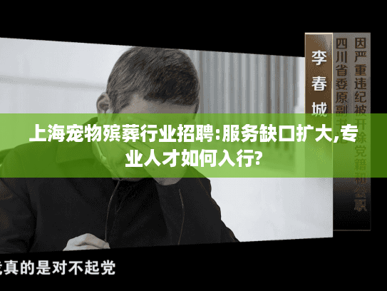 上海宠物殡葬行业招聘:服务缺口扩大,专业人才如何入行?