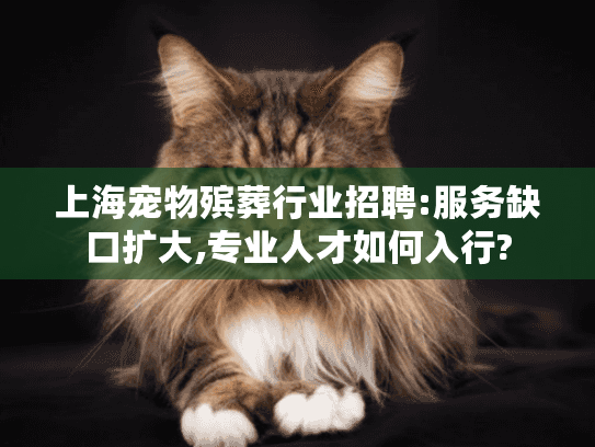 上海宠物殡葬行业招聘:服务缺口扩大,专业人才如何入行?