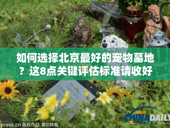 如何选择北京最好的宠物墓地？这8点关键评估标准请收好