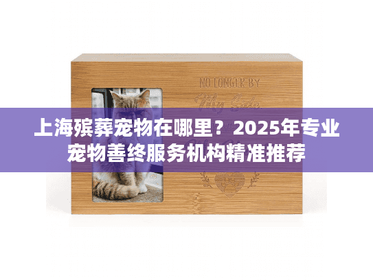 上海殡葬宠物在哪里？2025年专业宠物善终服务机构精准推荐