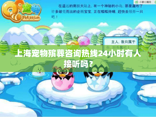 上海宠物殡葬咨询热线24小时有人接听吗？