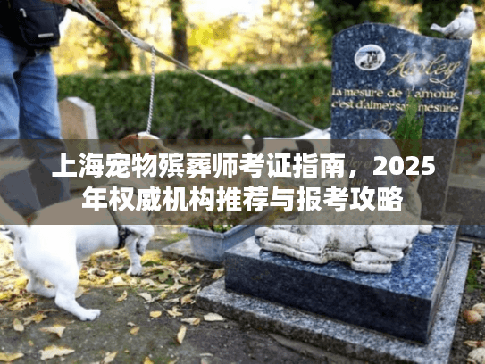 上海宠物殡葬师考证指南，2025年权威机构推荐与报考攻略