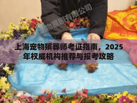 上海宠物殡葬师考证指南，2025年权威机构推荐与报考攻略