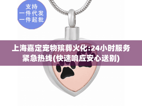 上海嘉定宠物殡葬火化:24小时服务紧急热线(快速响应安心送别)