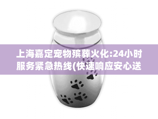 上海嘉定宠物殡葬火化:24小时服务紧急热线(快速响应安心送别)