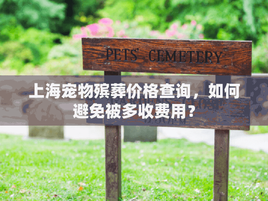 上海宠物殡葬价格查询，如何避免被多收费用？