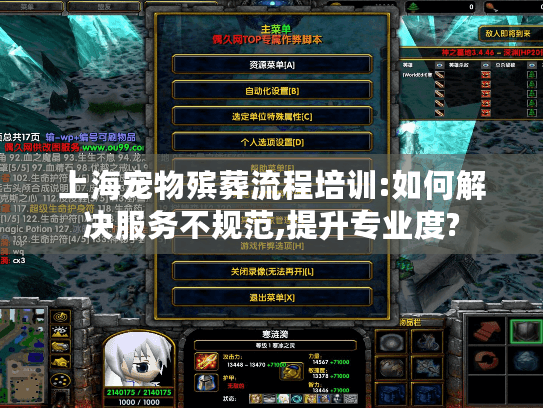 上海宠物殡葬流程培训:如何解决服务不规范,提升专业度?