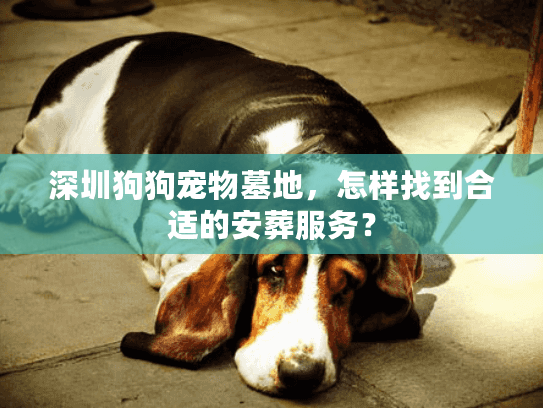 深圳狗狗宠物墓地，怎样找到合适的安葬服务？