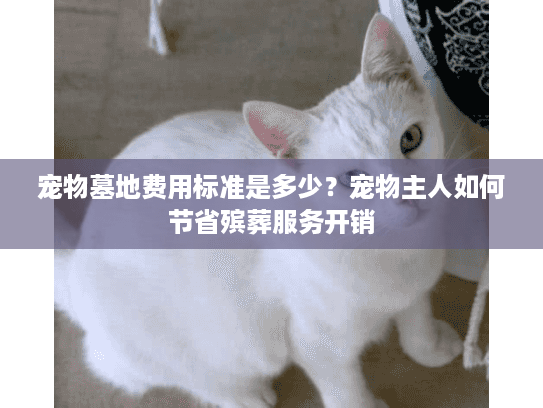 宠物墓地费用标准是多少？宠物主人如何节省殡葬服务开销