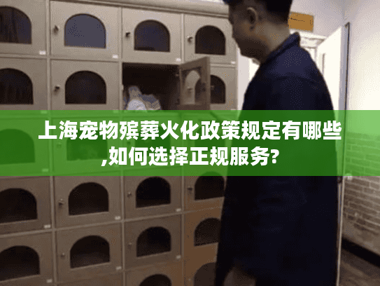 上海宠物殡葬火化政策规定有哪些,如何选择正规服务?