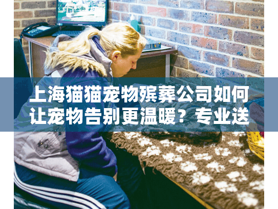 上海猫猫宠物殡葬公司如何让宠物告别更温暖？专业送别全流程详解