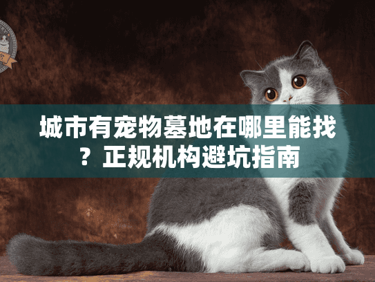 城市有宠物墓地在哪里能找？正规机构避坑指南
