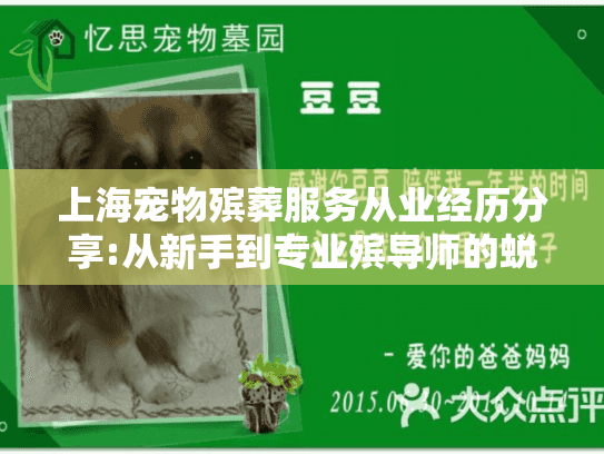上海宠物殡葬服务从业经历分享:从新手到专业殡导师的蜕变之路