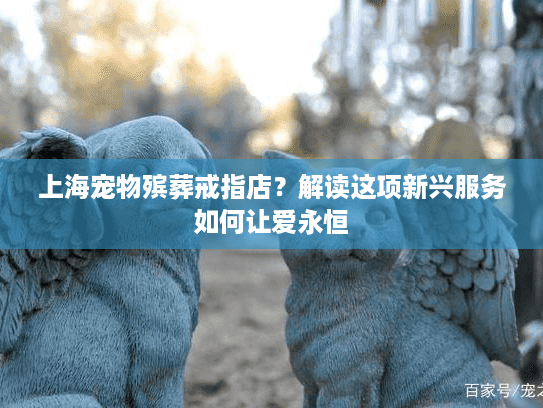 上海宠物殡葬戒指店？解读这项新兴服务如何让爱永恒