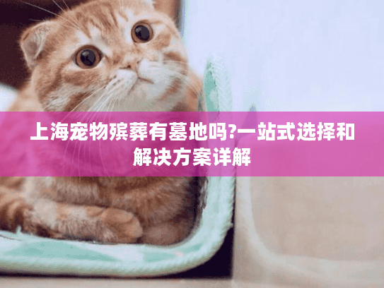 上海宠物殡葬有墓地吗?一站式选择和解决方案详解
