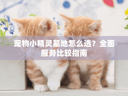 宠物小精灵墓地怎么选？全面服务比较指南