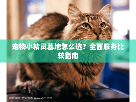 宠物小精灵墓地怎么选？全面服务比较指南