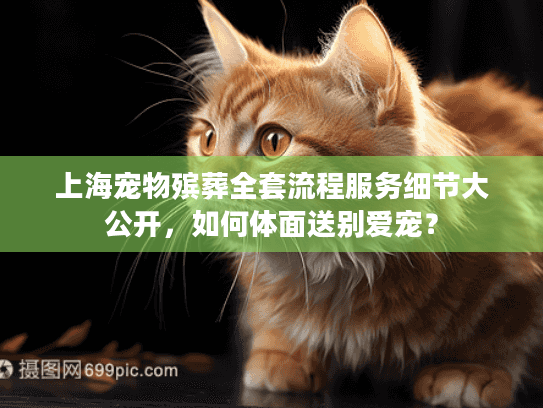 上海宠物殡葬全套流程服务细节大公开，如何体面送别爱宠？