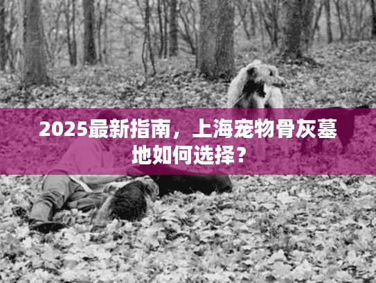 2025最新指南，上海宠物骨灰墓地如何选择？