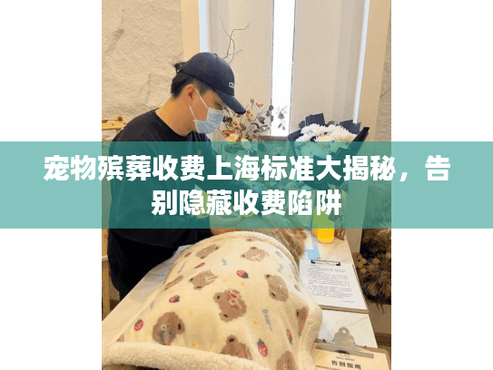 宠物殡葬收费上海标准大揭秘，告别隐藏收费陷阱