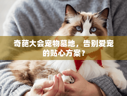 奇葩大会宠物墓地，告别爱宠的贴心方案？