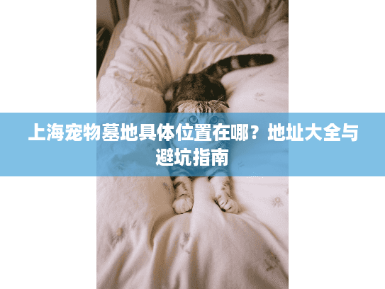 上海宠物墓地具体位置在哪？地址大全与避坑指南