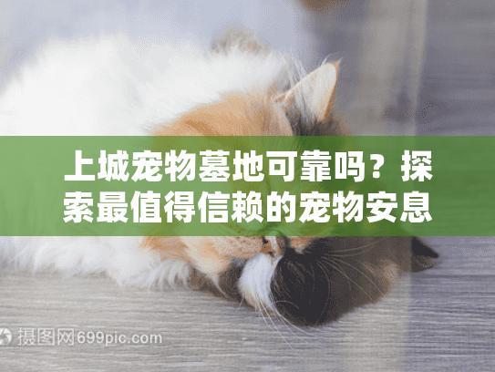 上城宠物墓地可靠吗？探索最值得信赖的宠物安息方案