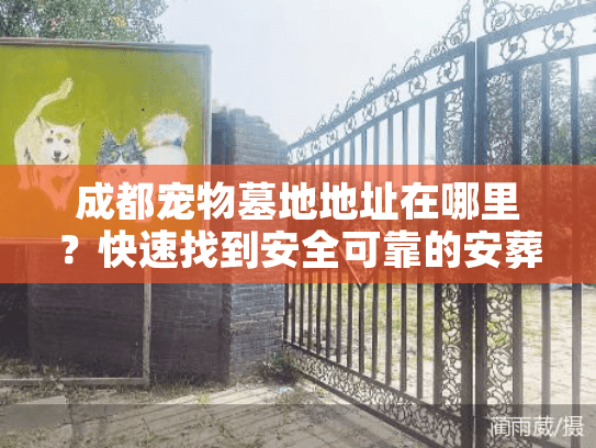 成都宠物墓地地址在哪里？快速找到安全可靠的安葬方案