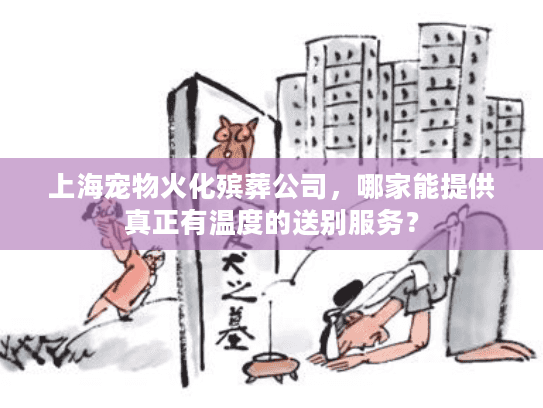 上海宠物火化殡葬公司，哪家能提供真正有温度的送别服务？