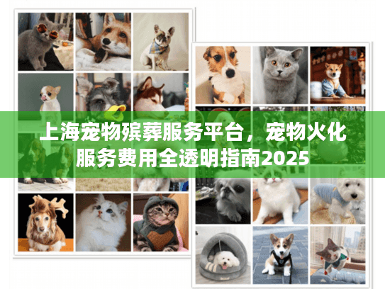上海宠物殡葬服务平台，宠物火化服务费用全透明指南2025