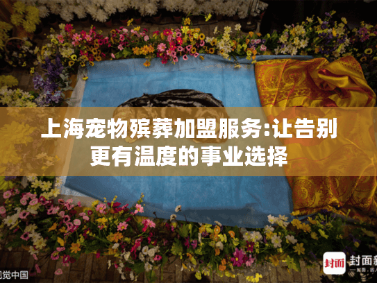 上海宠物殡葬加盟服务:让告别更有温度的事业选择