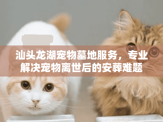 汕头龙湖宠物墓地服务，专业解决宠物离世后的安葬难题