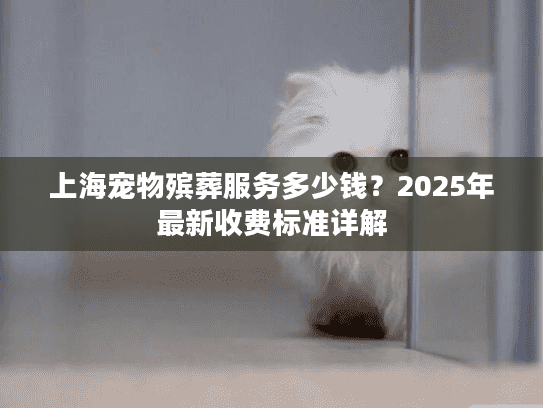 上海宠物殡葬服务多少钱？2025年最新收费标准详解