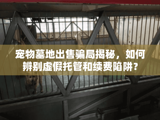 宠物墓地出售骗局揭秘，如何辨别虚假托管和续费陷阱？