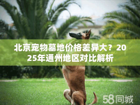 北京宠物墓地价格差异大？2025年通州地区对比解析