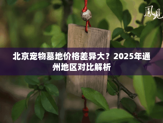 北京宠物墓地价格差异大？2025年通州地区对比解析