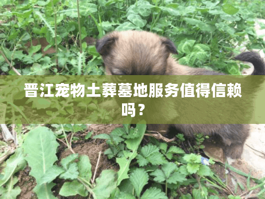 晋江宠物土葬墓地服务值得信赖吗？