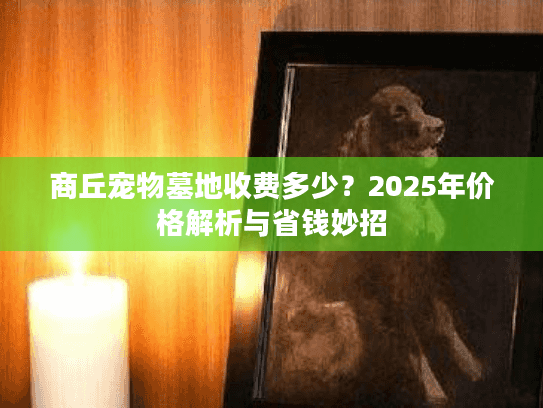 商丘宠物墓地收费多少？2025年价格解析与省钱妙招