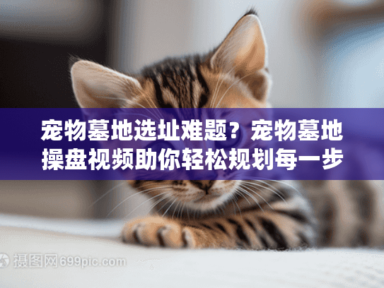 宠物墓地选址难题？宠物墓地操盘视频助你轻松规划每一步