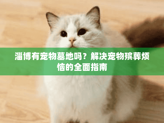 淄博有宠物墓地吗?解决宠物殡葬烦恼的全面指南 淄博有宠物墓地吗?解决宠物殡葬烦恼的全面指南