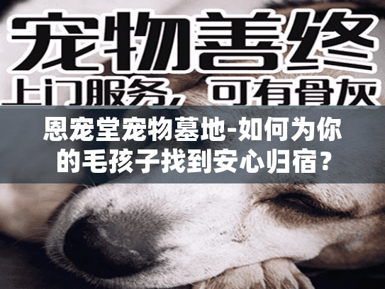 恩宠堂宠物墓地-如何为你的毛孩子找到安心归宿？