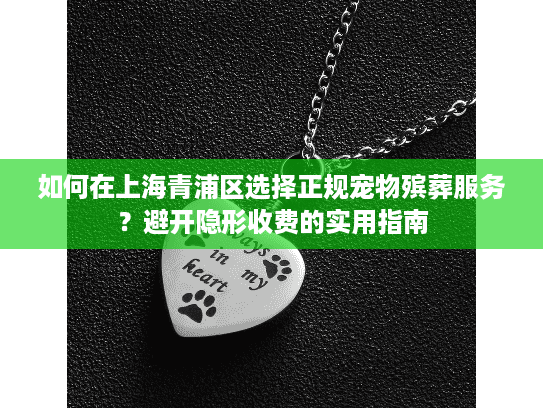 如何在上海青浦区选择正规宠物殡葬服务？避开隐形收费的实用指南