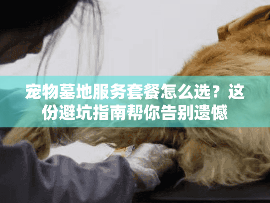 宠物墓地服务套餐怎么选？这份避坑指南帮你告别遗憾