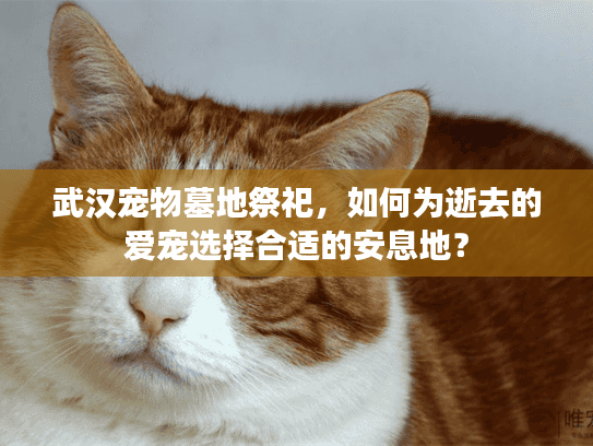 武汉宠物墓地祭祀,如何为逝去的爱宠选择合适的安息地? 武汉宠物墓地祭祀,如何为逝去的爱宠选择合适的安息地?