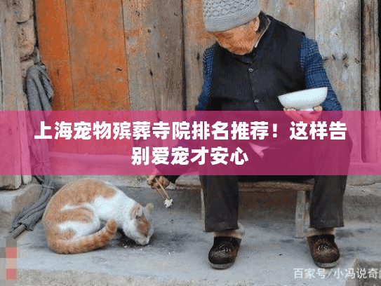 上海宠物殡葬寺院排名推荐！这样告别爱宠才安心