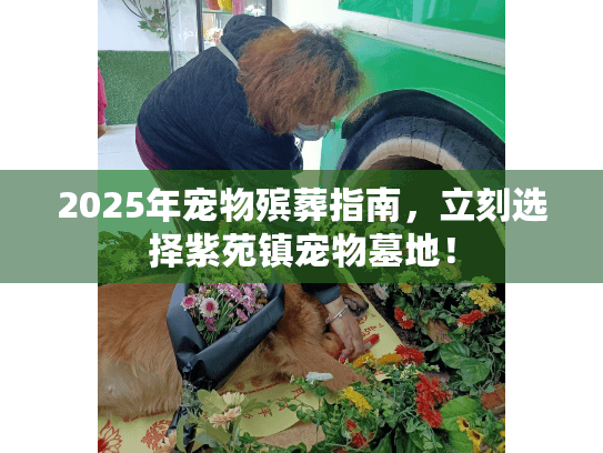 2025年宠物殡葬指南图片