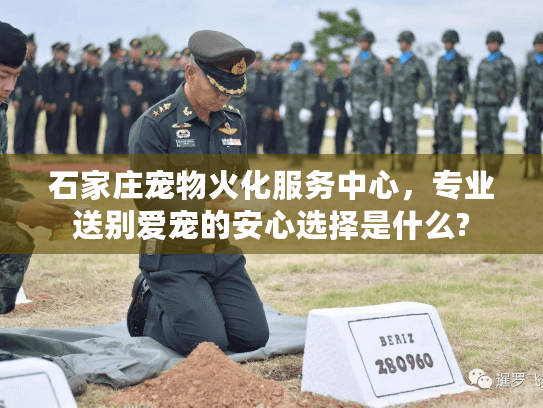 石家庄宠物火化服务中心，专业送别爱宠的安心选择是什么?