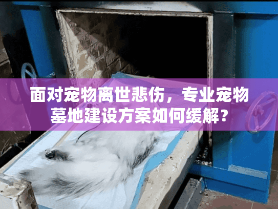 面对宠物离世悲伤，专业宠物墓地建设方案如何缓解？